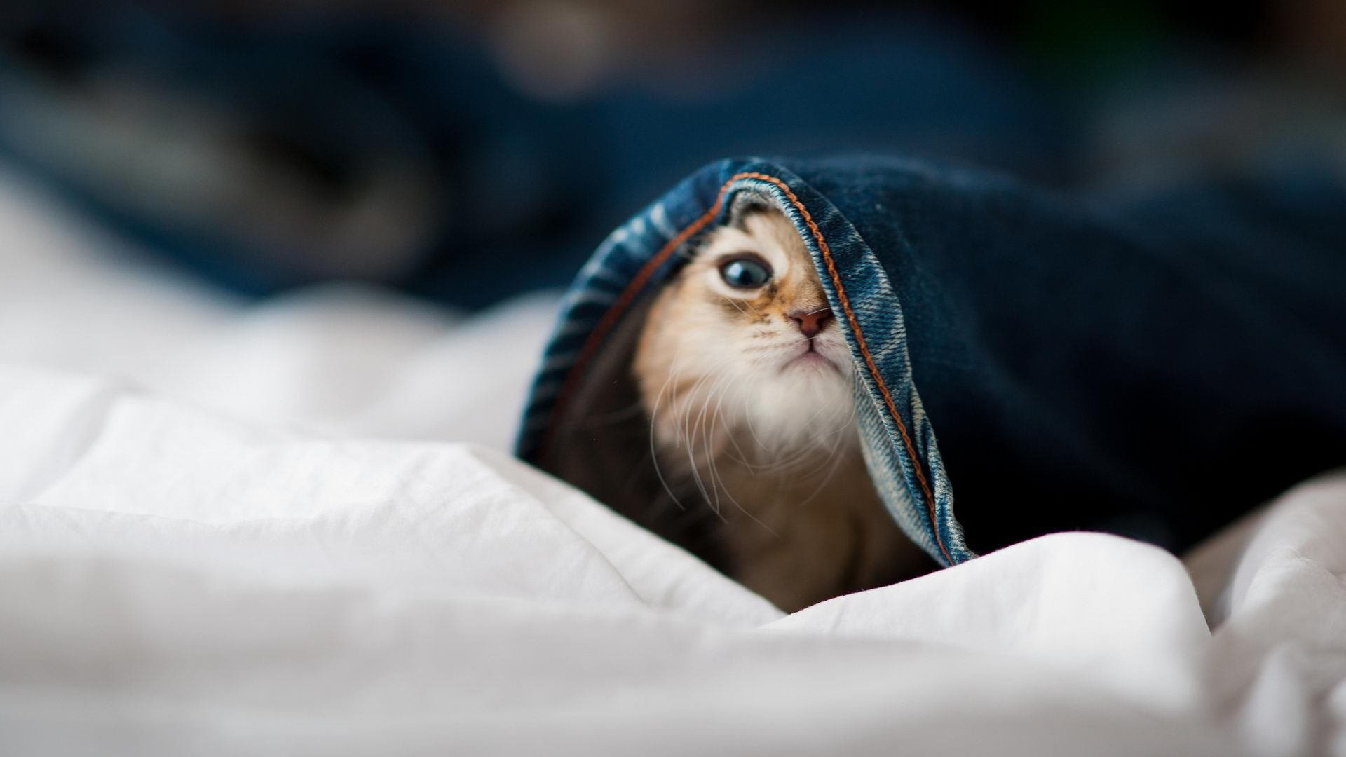 中国三人女篮技战术日臻成熟，中国 三人女篮